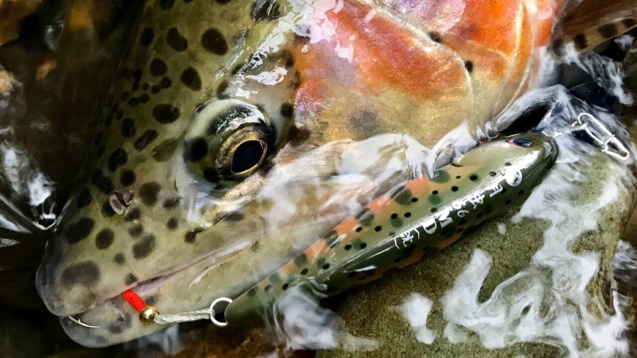 初期型Negotiator ガイド前田カラー 初期型Negotiator ガイド前田カラー 初期型Negotiator ガイド前田